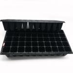 high quality forest seedling tray for sale