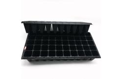 China high quality forest seedling tray supplier