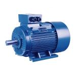 Durable Permanent Magnet AC Motor for sale