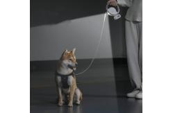 China Quick Release Lead Free Anti Bite Nylon Tape For Medium Large Dogs supplier
