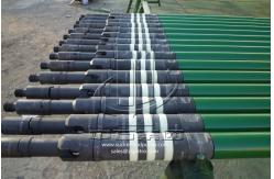China 1 1/8 Rod Insert Pump API ISO QHSE Certification Sucker Rod Pump supplier