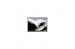 China Original F066A01-6T1 6.6 inch LCD Screen Display Panel supplier