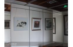 China Top Hanging Folding Sliding Partition Wall For Exhibition Hall / Art Gallery supplier