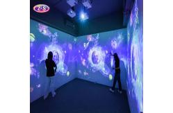 China Seamless Visual Blending Holographic Immersive Projection for Indoor Space Design supplier