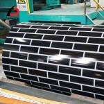 Welding Ppgi Coated Coil Steel Dx51d Dx52D JIS Standard ASTM Ral3005 6005 3013 for sale