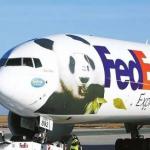 EXPRESS Delivery To France Ups DHL Fedex Door To Door International Shipping for sale