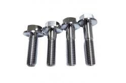 China Hexagonal Head Flange Titanium Bolts M2-M35 Size Silver Golden supplier