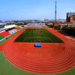 Abrasion Resistance Synthetic PU Jogging Track Flooring Material for sale