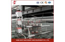 China 1.6m Wide 4 Tier Layer Cage For Poultry Farmers Rose supplier