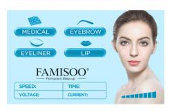 China Luxury Permanent Makeup Kit With High Speed And Silence CE Certificate supplier