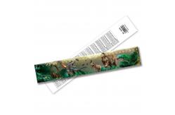 China Custom Designed 3D Lenticular Plastic Ruler Cheap Promotion Gifts from China supplier