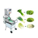 SUS 304 stainless steel vegetable cutting machine for catering for sale