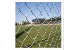 China 75mm Chain Link Mesh Fencing Hot Dipped Galvanized Pvc Coated supplier