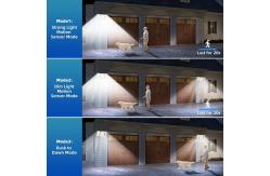 China Solar Powered Led Outdoor Security Spot Lights with Motion Sensor supplier