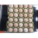 1 - 4 Printing Lines Inkjet Batch Coding Machine For Farm Preserved Eggs