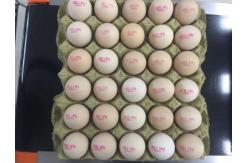 China 1 - 4 Printing Lines Inkjet Batch Coding Machine For Farm Preserved Eggs supplier