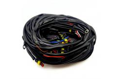 China 56 Pin ECU Wiring Harness With Multiple Connectors And PVC Pipe Protection supplier