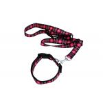 Metal Buckle Seatbelt Pet Collars Leashes 2.5CM Width OEM For Dog for sale