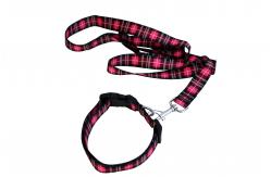 China Metal Buckle Seatbelt Pet Collars Leashes 2.5CM Width OEM For Dog supplier