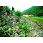Anticorrosion Green Gabion Wire Mesh Can Be Planted Revetment River for sale