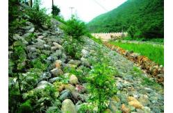 China Anticorrosion Green Gabion Wire Mesh Can Be Planted Revetment River supplier