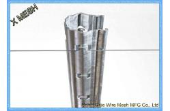 China Vine Plants Vineyard Grape Stake Steel Trellis Posts Hot Dipped Galvanized supplier