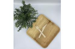 China 10 Disposable Square Areca Palm Leaf Plates With Fork Knife supplier