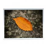 G121STN02.0 industrial pc monitor screen AUO TN 12.1 inch lcd monitor panel 800*600 resolution for sale