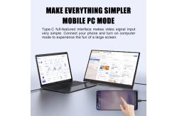 China 16.1 IPS Portable Screen - Secondary Monitor for Laptops & PCs supplier