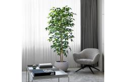China Flame Retardant H180cm Artificial Ficus Plant , Ficus Fake Tree Natural Look supplier