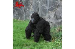 China Animatronic Gorilla Suit Realistic Gorilla Costume Adult Age supplier