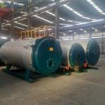 Gas Fired Diesel Multi Fuel Steam Boiler 1.25Mpa 700kw Wetback Structure for sale
