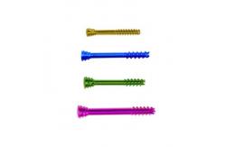 China Titanium Alloy Anodizing Orthopedic Locking Plate Cannulated Compression Screw supplier