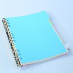 PVC Cover 9 Ring Binder Organizer Colorful Separator Page For Conference / Class for sale