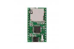 China RS232 Communication SD Card Module WT5001M02-28P With SPI Interface supplier