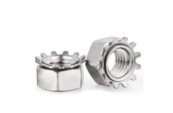 China Stainless Steel  K Nut Kep Nut K Nuts With Toothed Washer supplier