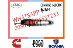 China ISX15 QSX15 Common Rail Fuel Injector 4928260 2874505 4903472 supplier