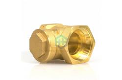 China  Brass Horizontal Check Valve Female Threaded For Water Flow Control supplier