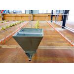 Convenient Assembly Automatic Chicken Feeder System , Broiler  Chicken Drinking System