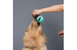 China Chewy Dispensing Proof Dog Puzzle Training Ball On Rope For Dogs Puppies supplier