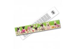 China High Quality 3d Lenticular Ruler Lenticular Printing Ruler Straight Ruler Plastic supplier