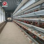 Hot Dip Battery Chicken Cages Coop Galvanized Steel H Type Egg Layer 384 Birds / Set for sale