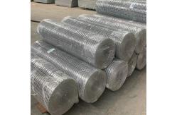 China Hot Dipped Galvanized Welded Wire Mesh 14 16 Gauge  Free Sample Offered supplier