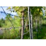 Garden Anti-Theft Double Twisted PVC Coated /Galvanized Barbed Wire Coils for sale