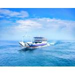 International Sea Freight Forwarding DDP From China To USA / UK for sale