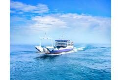 China International Sea Freight Forwarding DDP From China To USA / UK supplier