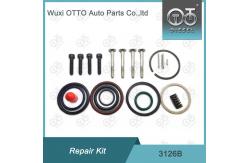 China CE passed 3126B Injector Rebuild Kit Bag Packing supplier