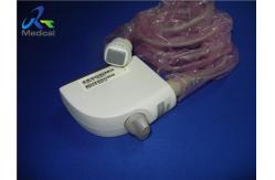 China Siemens P4 2 Phased Array Probe Cardiac No Allergic Reaction supplier
