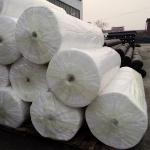 Heavy Duty Spunbond Agricultural Non Woven Fabric 100% Polypropylene for sale