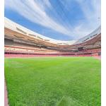 High Carbon PE 30mm Artificial Grass Sports Flooring Field Green for sale